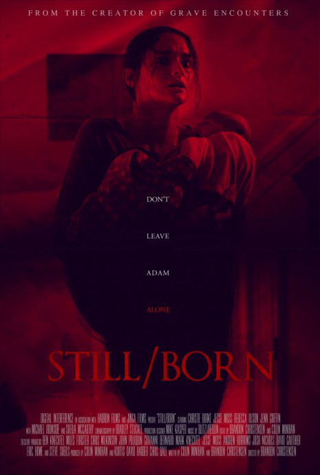 Постеры к фильму Близнецы (Still/Born)