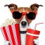 WCINEMA.RU - только для Администрации