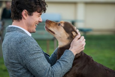 Кадры из фильма Путь домой (A Dog's Way Home)