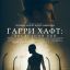 Гарри Хафт: Последний бой