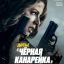 Досье «Чёрная канарейка»