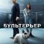Бультерьер