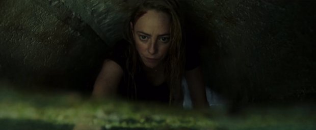 Кадры из фильма Капкан (Crawl)