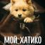 Мой Хатико