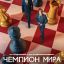 Чемпион мира