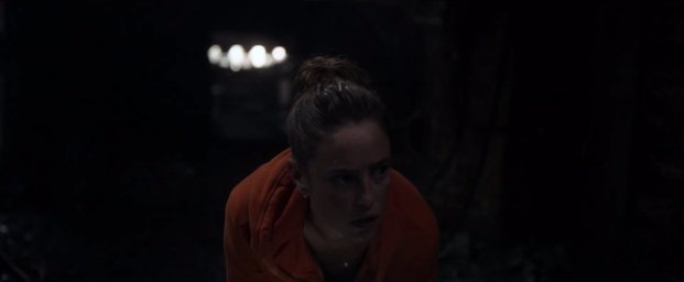 Кадры из фильма Капкан (Crawl)